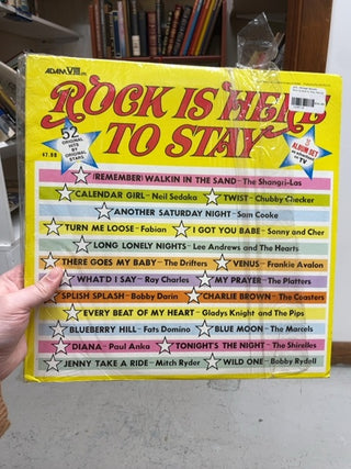 Rock is Here to Stay Record