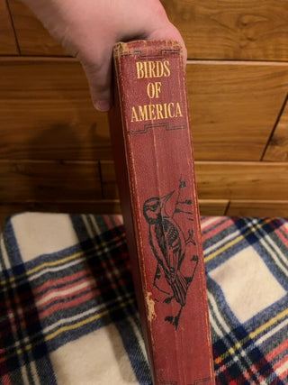 Birds of America c:1936