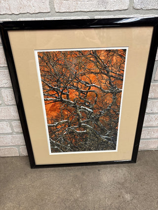 The Burning Bush Print