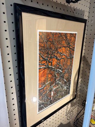 The Burning Bush Print