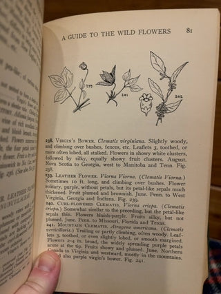 guide to Wildflowers c:1928