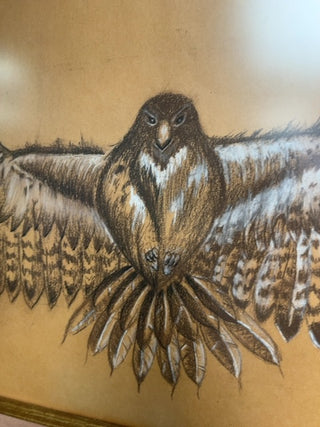 Raptor sketch, framed
