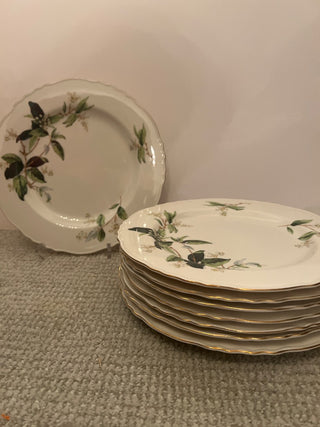 Set of 8 diner plates 10-3/4”, Orange Blossom by Theodore Haviland, New York