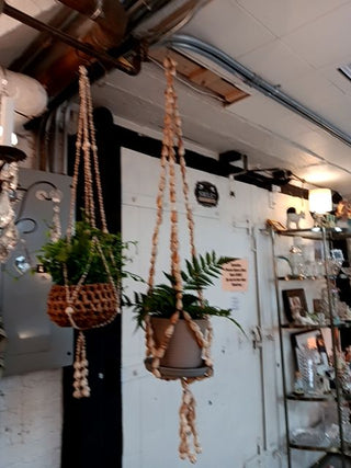 Vint.LARGE Shell Planter w Plant