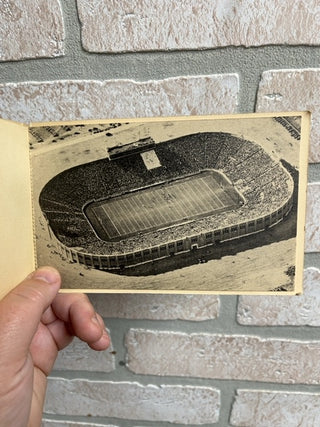 Notre Dame Postcard book