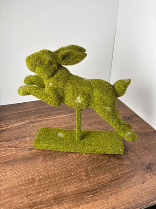 Moss Running Rabbit