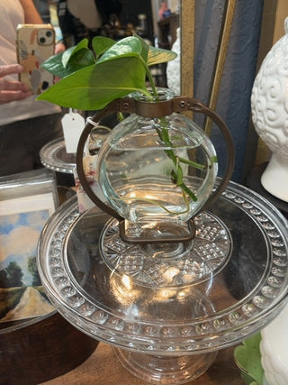 Round Apothecary jar with Propogation