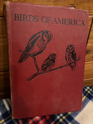 Birds of America c:1936