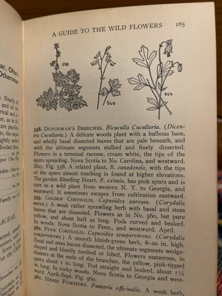 guide to Wildflowers c:1928