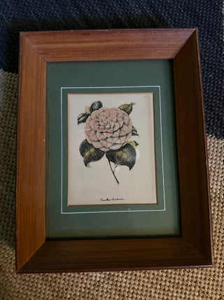Vintage Camilla Framed Art