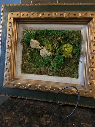 Upcycled moss art in vintage frame