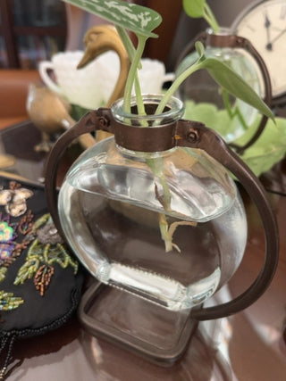 Round Apothecary jar with Propogation