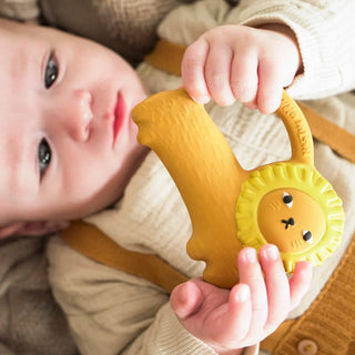 Richie Lion Baby Teether & Bath Toy