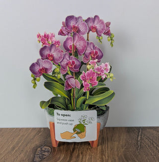 Mini Orchid Oasis Pop Up Greeting Card