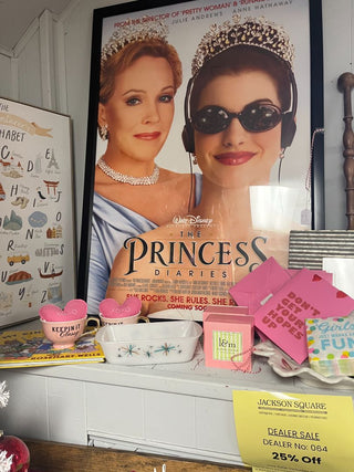 Princess Diaries Movie Poster Framed