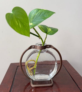 Vintage Look Round Metal/Glass Propagation Vase