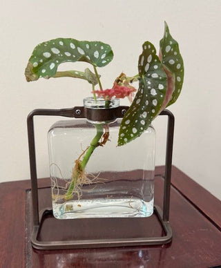 Vintage Look Square Metal/Glass Propagation Vase