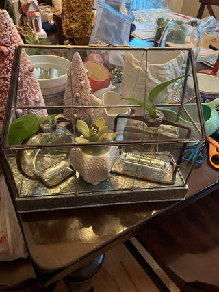 Tin Terrarium