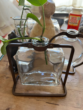 Square Apothecary Jar with Propagation