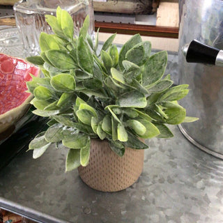 Green Faux Plant in White pot