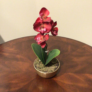 Mini Red Orchid Brass Bowl 4391