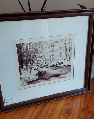 Babbling Brook still life photograph By Ray Hartl, Artist Signed