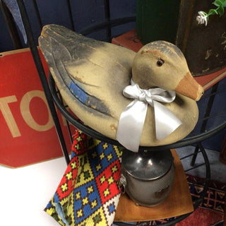 Duck decoy