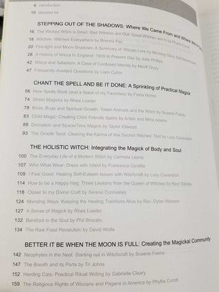 Pop! Goes the Witch: The Disinformation Guide to 21st Century Witchcraft (Disinformation Guides)