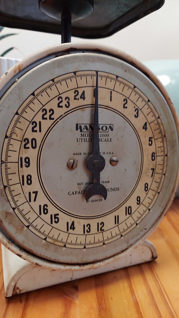 1930s Hanson Metal Utility Scale 25lb Capacity Chicago USA