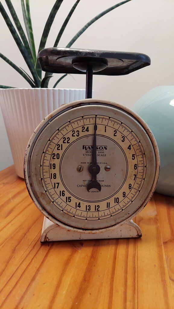 1930s Hanson Metal Utility Scale 25lb Capacity Chicago USA