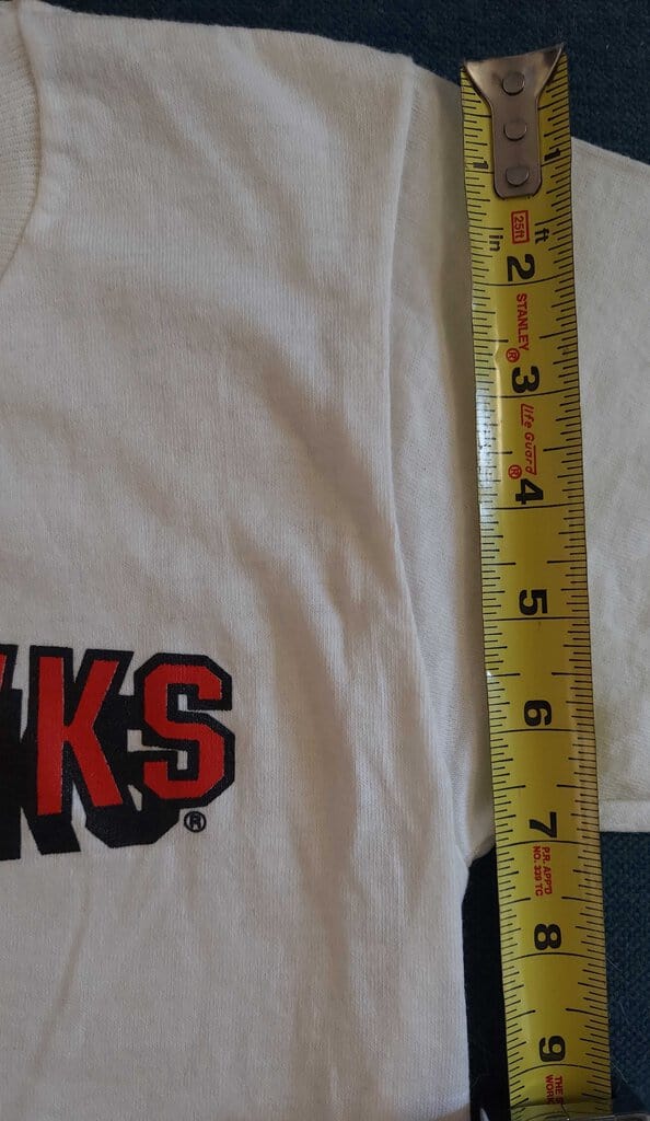 FIRM - 1990 CHICAGO BLACKHAWKS t-shirt small(S) NHL - NUTMEG MILLS - By Artist JACK DAVIS - NOS W/tag