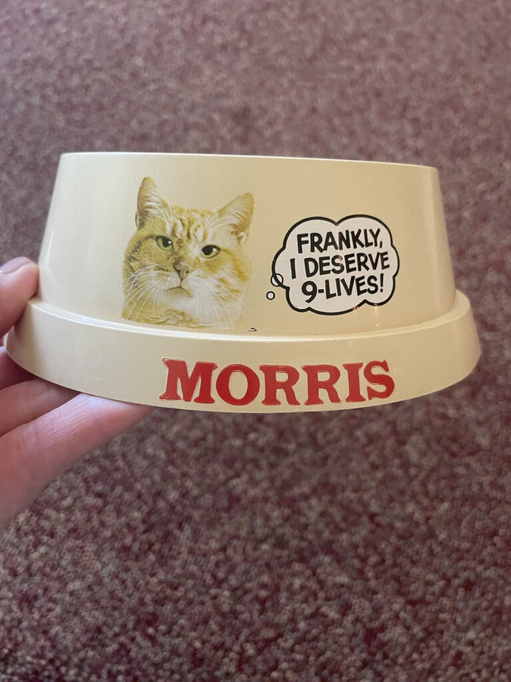 Vintage Morris the Cat Dish