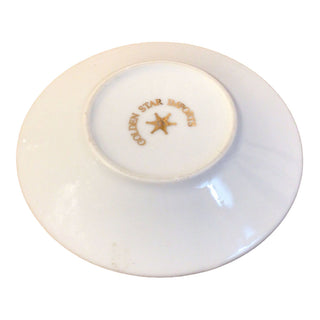 Golden Star Imports cup and saucer #10