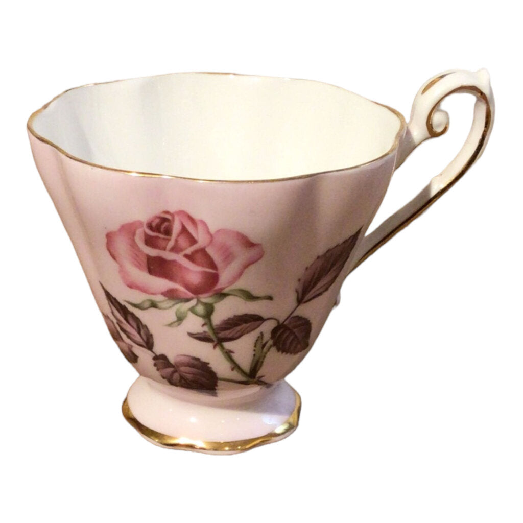 Royal Standard cup and saucer #16